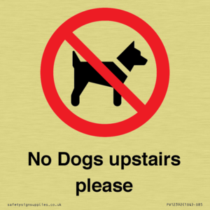 No Dogs upstairs please 